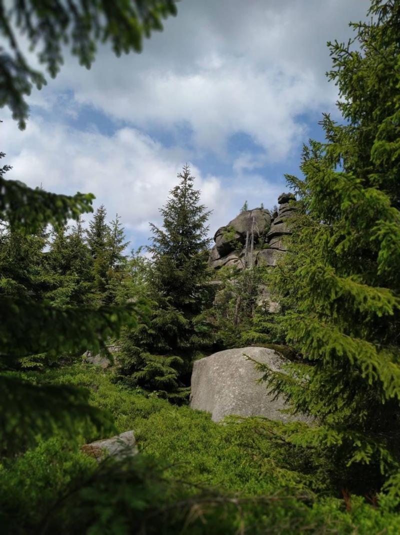 Chalupa U Kuby Vysoke nad Jizerou Exterior photo